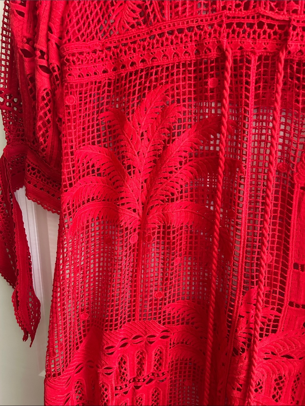 FARM Rio Red Crochet Maxi Dress Red Morada Boa Guipure Maxi Dress - Picture 9 of 12